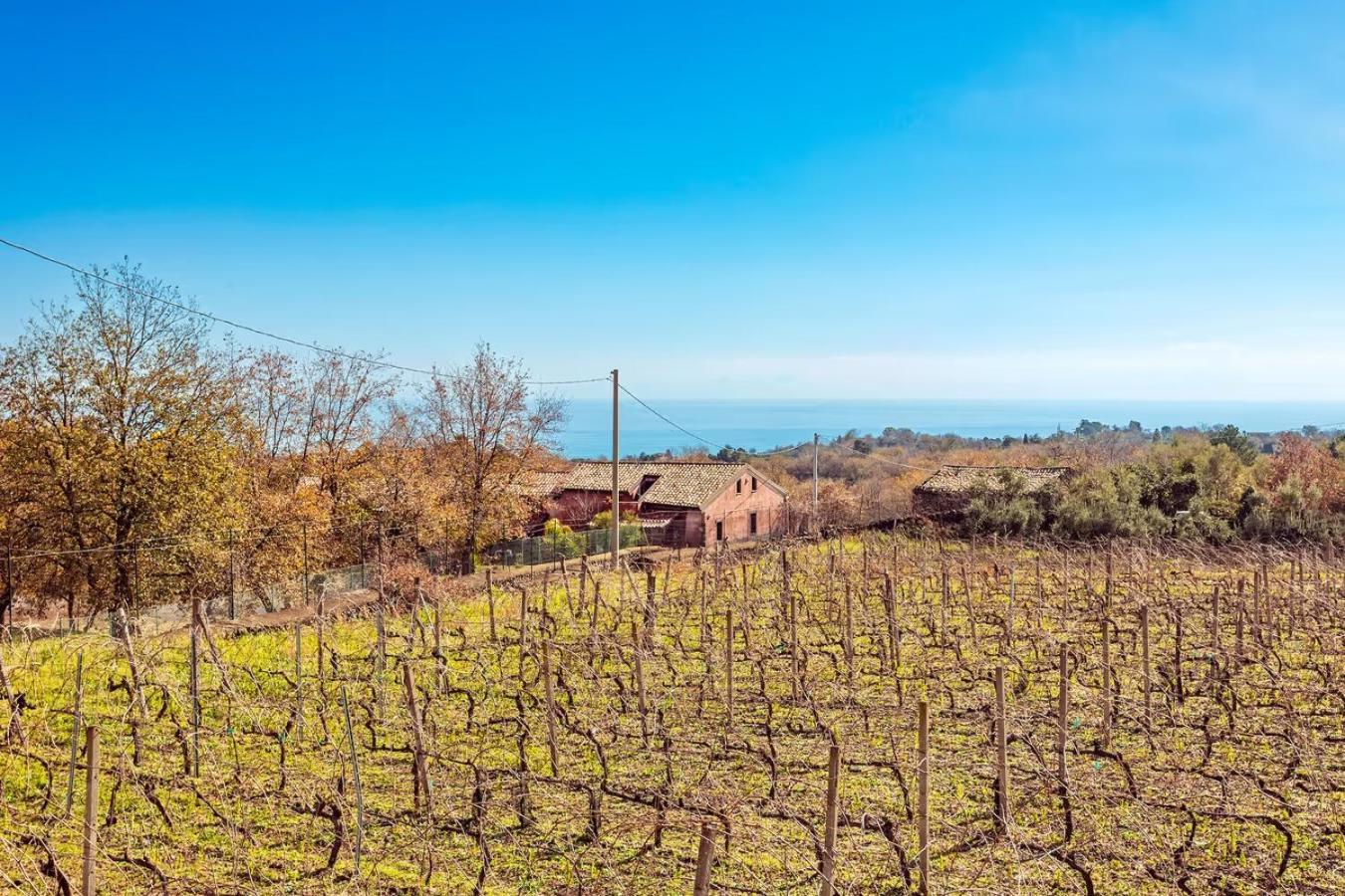 Camia Etna House Apartment Piedimonte Etneo Luaran gambar